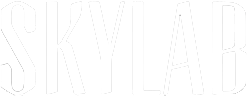 Skylab Logo